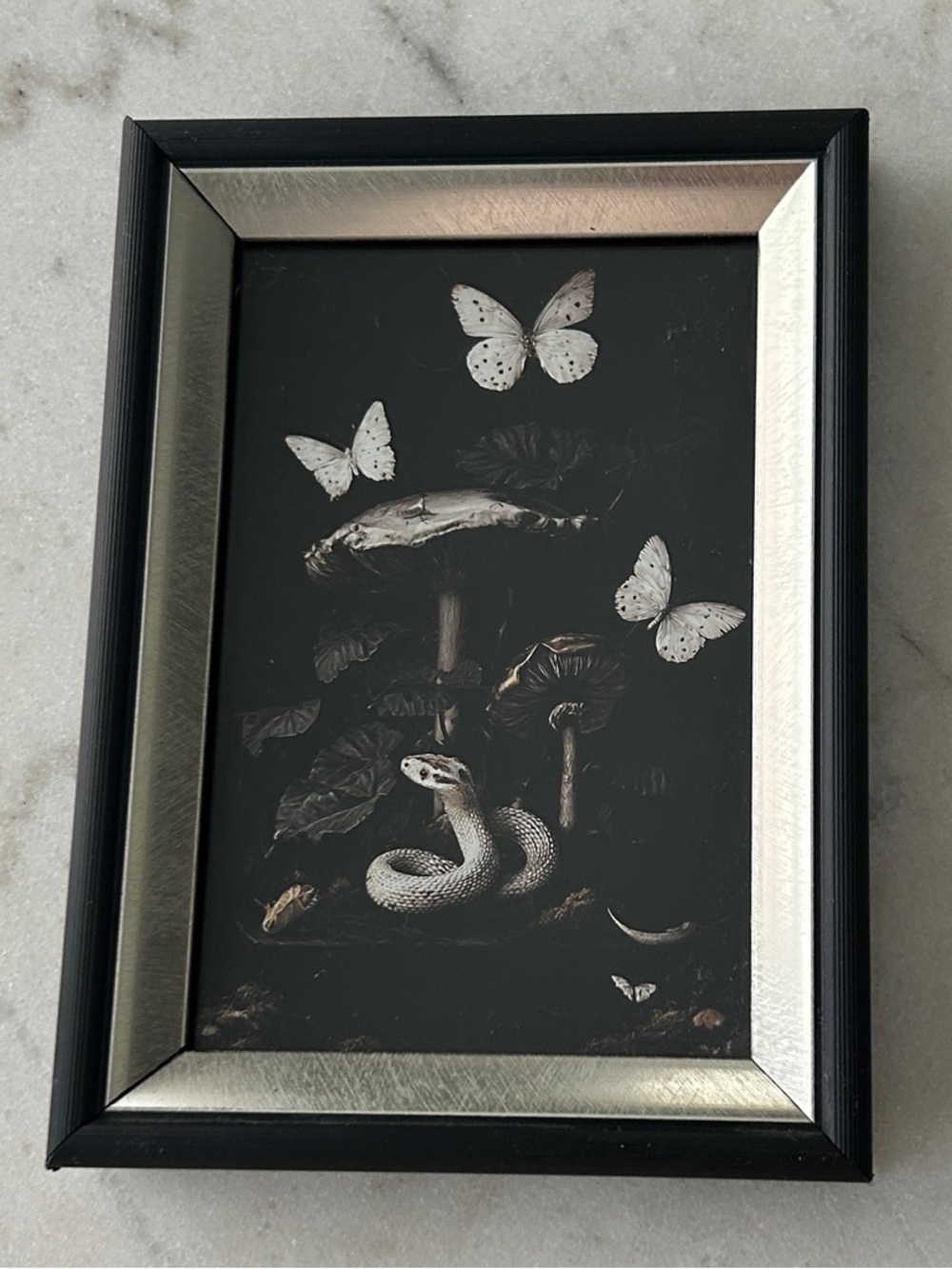 Framed Dark Botanical Print with Snake & Butterflies